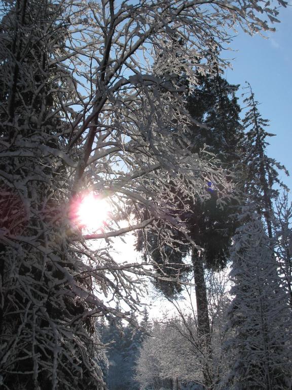 Hotel Kilian Braunlage Zewnętrze zdjęcie